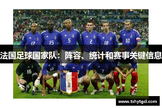 法国足球国家队：阵容、统计和赛事关键信息